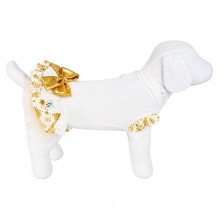 roupa para cachorro